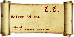 Balzer Bálint névjegykártya